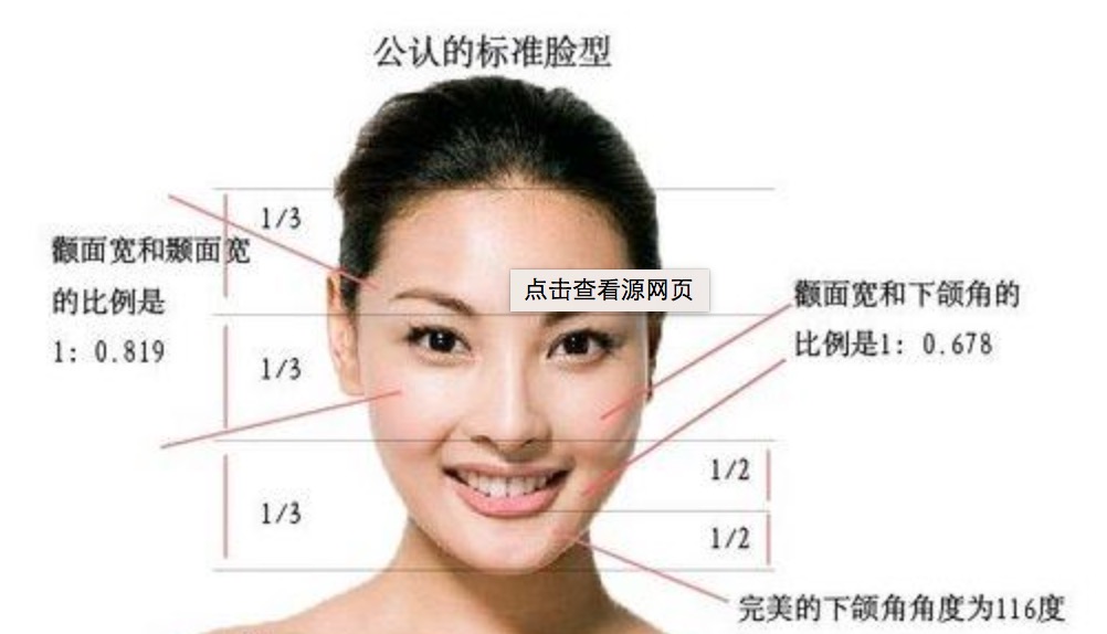 公认标准型脸